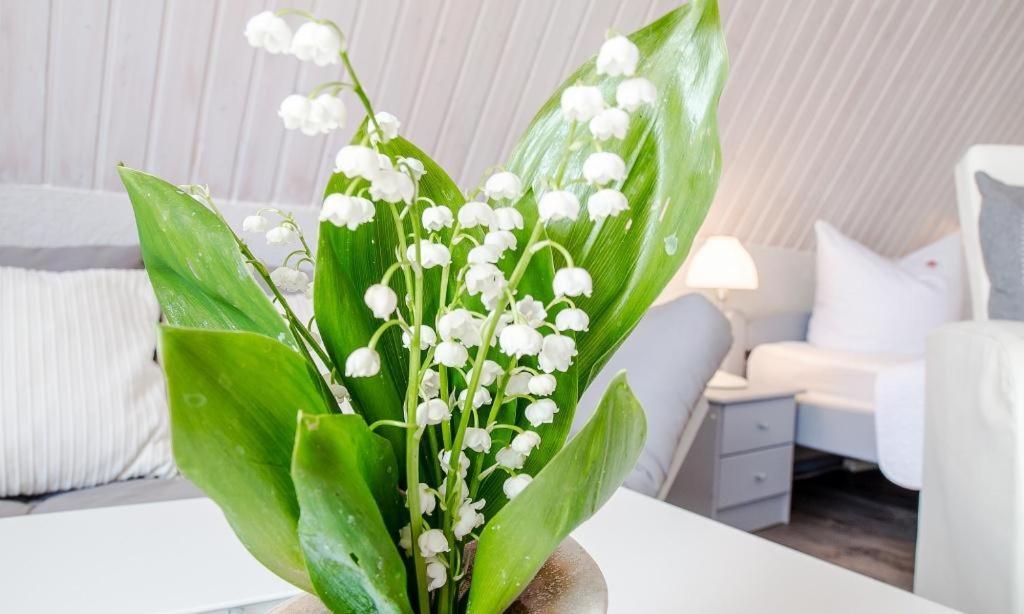 Sonnenblumenhaus 02 Apartment Prerow Ngoại thất bức ảnh